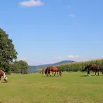 Apartmán Ponyhof Adam Urlaub Auf Dem Bauernhof *