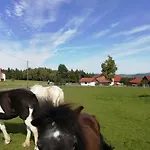Ponyhof Adam Urlaub Auf Dem Bauernhof Apartmán