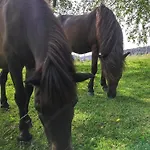 Apartmán Ponyhof Adam Urlaub Auf Dem Bauernhof Eschlkam