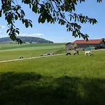 Ponyhof Adam Urlaub Auf Dem Bauernhof