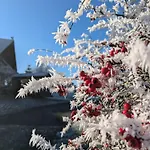 Ponyhof Adam Urlaub Auf Dem Bauernhof *