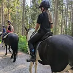 Apartmán Ponyhof Adam Urlaub Auf Dem Bauernhof