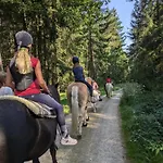 Apartmán Ponyhof Adam Urlaub Auf Dem Bauernhof *