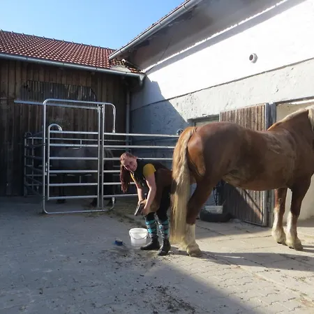 Ponyhof Adam Urlaub Auf Dem Bauernhof Eschlkam