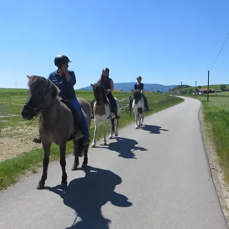 Apartment Ponyhof Adam Urlaub Auf Dem Bauernhof *