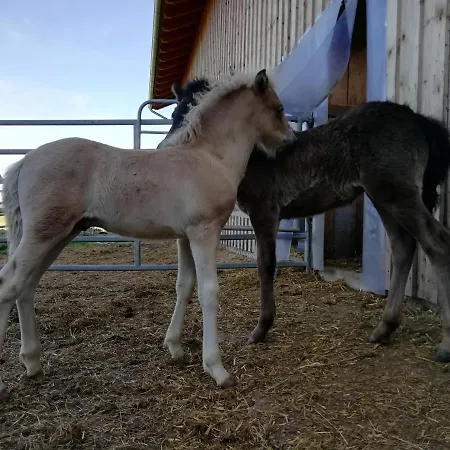 Ponyhof Adam Urlaub Auf Dem Bauernhof Eschlkam