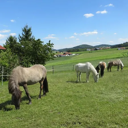 Ponyhof Adam Urlaub Auf Dem Bauernhof * Eschlkam
