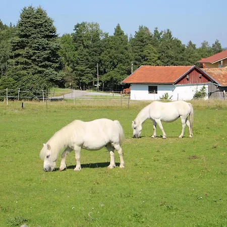 Ponyhof Adam Urlaub Auf Dem Bauernhof * Eschlkam