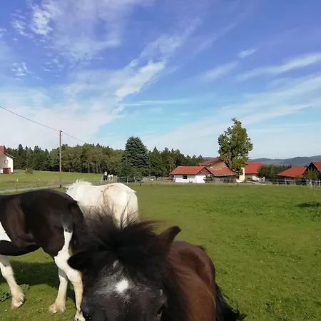 Ponyhof Adam Urlaub Auf Dem Bauernhof Lejlighed