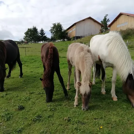Ponyhof Adam Urlaub Auf Dem Bauernhof Lejlighed