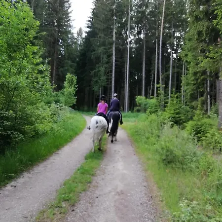 Lejlighed Ponyhof Adam Urlaub Auf Dem Bauernhof Eschlkam