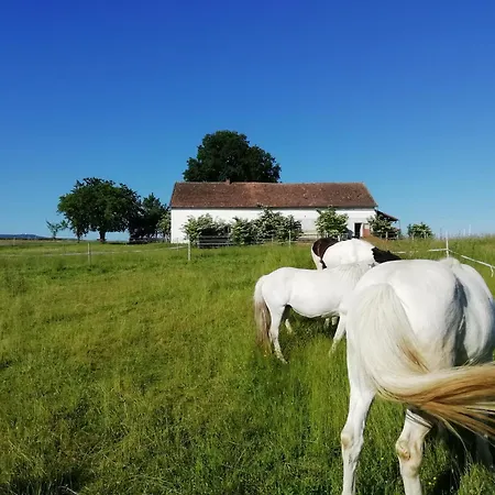 Ponyhof Adam Urlaub Auf Dem Bauernhof * Eschlkam