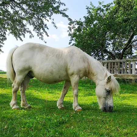 Apartment Ponyhof Adam Urlaub Auf Dem Bauernhof *