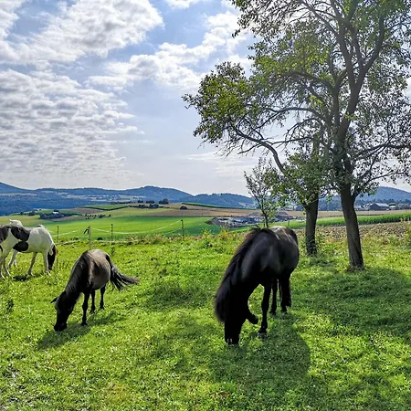 Ponyhof Adam Urlaub Auf Dem Bauernhof *