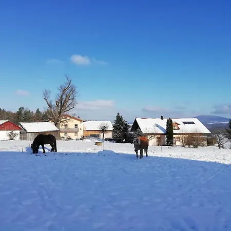 Apartment Ponyhof Adam Urlaub Auf Dem Bauernhof *