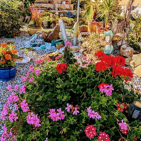 Ponyhof Adam Urlaub Auf Dem Bauernhof Eschlkam