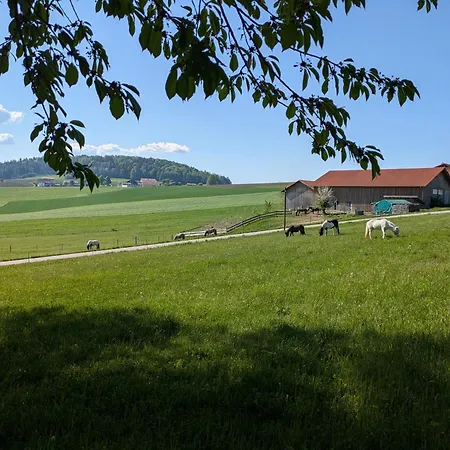 Ponyhof Adam Urlaub Auf Dem Bauernhof
