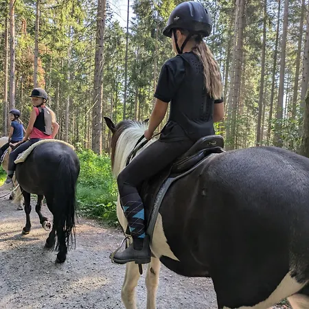 Lejlighed Ponyhof Adam Urlaub Auf Dem Bauernhof