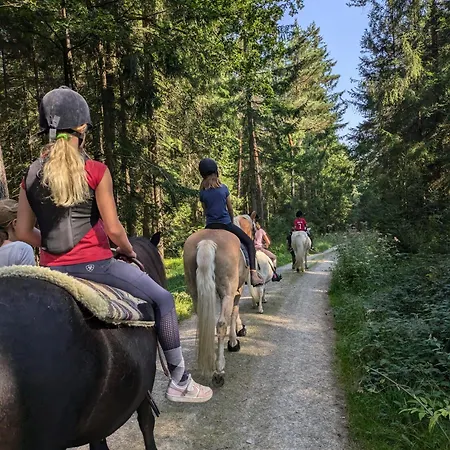 Lejlighed Ponyhof Adam Urlaub Auf Dem Bauernhof *