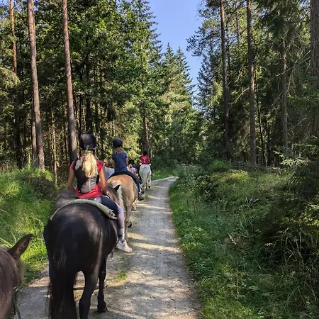 Ponyhof Adam Urlaub Auf Dem Bauernhof Lejlighed Eschlkam