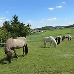 Ponyhof Adam Urlaub Auf Dem Bauernhof * Eschlkam