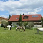 Apartmán Ponyhof Adam Urlaub Auf Dem Bauernhof *