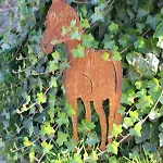Ponyhof Adam Urlaub Auf Dem Bauernhof *