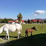 Ponyhof Adam Urlaub Auf Dem Bauernhof Apartmán *