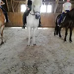 Ponyhof Adam Urlaub Auf Dem Bauernhof Eschlkam