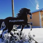 Ponyhof Adam Urlaub Auf Dem Bauernhof