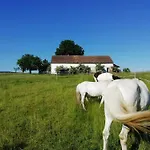 Ponyhof Adam Urlaub Auf Dem Bauernhof * Eschlkam