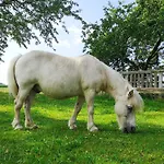 Apartmán Ponyhof Adam Urlaub Auf Dem Bauernhof *
