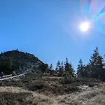 Ponyhof Adam Urlaub Auf Dem Bauernhof Eschlkam