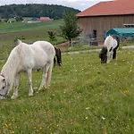 Ponyhof Adam Urlaub Auf Dem Bauernhof Eschlkam