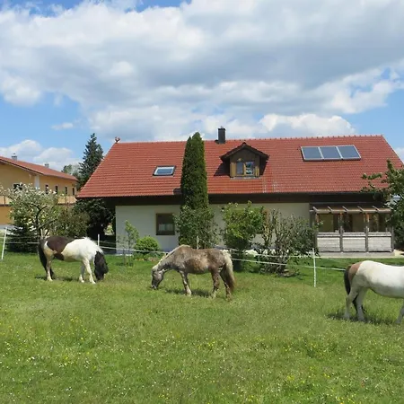 Apartmán Ponyhof Adam Urlaub Auf Dem Bauernhof *