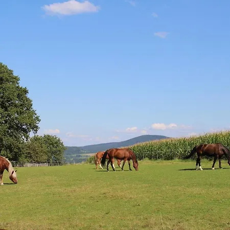 Apartmán Ponyhof Adam Urlaub Auf Dem Bauernhof *