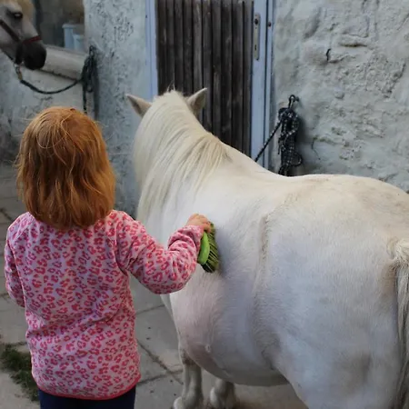 Ponyhof Adam Urlaub Auf Dem Bauernhof Apartman Eschlkam