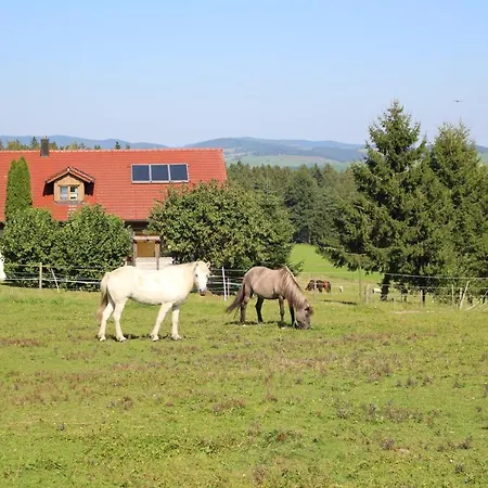Ponyhof Adam Urlaub Auf Dem Bauernhof Eschlkam