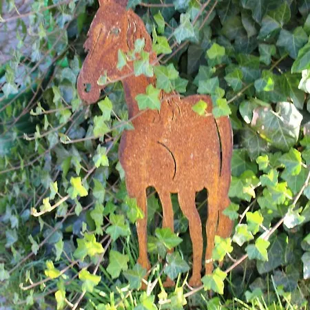 Ponyhof Adam Urlaub Auf Dem Bauernhof *