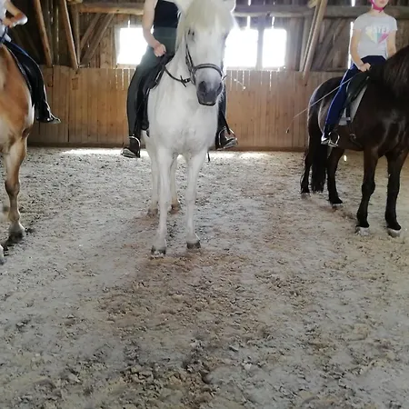 Ponyhof Adam Urlaub Auf Dem Bauernhof Eschlkam