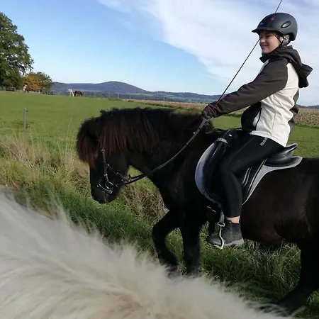 Ponyhof Adam Urlaub Auf Dem Bauernhof * Eschlkam