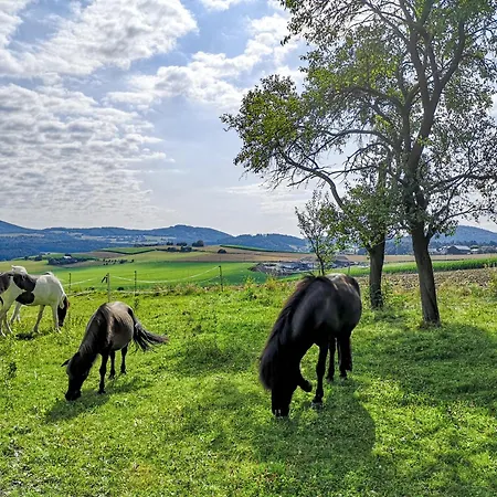 Ponyhof Adam Urlaub Auf Dem Bauernhof *