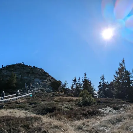 Ponyhof Adam Urlaub Auf Dem Bauernhof Eschlkam