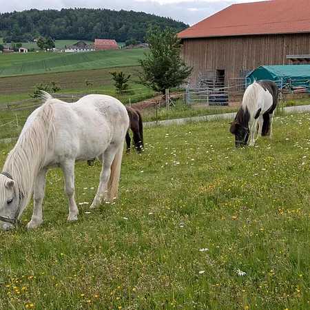 Ponyhof Adam Urlaub Auf Dem Bauernhof Eschlkam