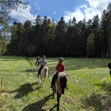 Ponyhof Adam Urlaub Auf Dem Bauernhof Eschlkam
