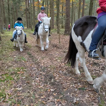 Ponyhof Adam Urlaub Auf Dem Bauernhof Apartmán
