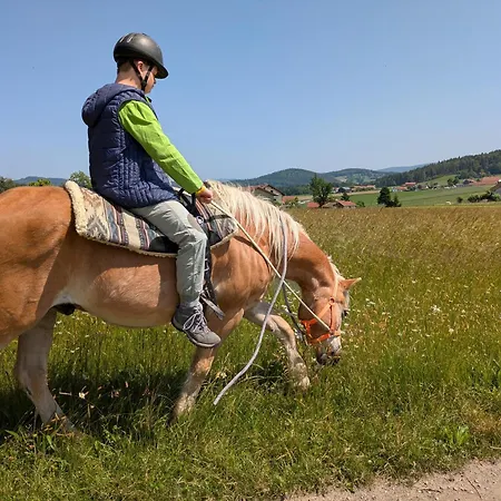 Ponyhof Adam Urlaub Auf Dem Bauernhof Apartmán *
