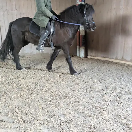 Ponyhof Adam Urlaub Auf Dem Bauernhof Eschlkam