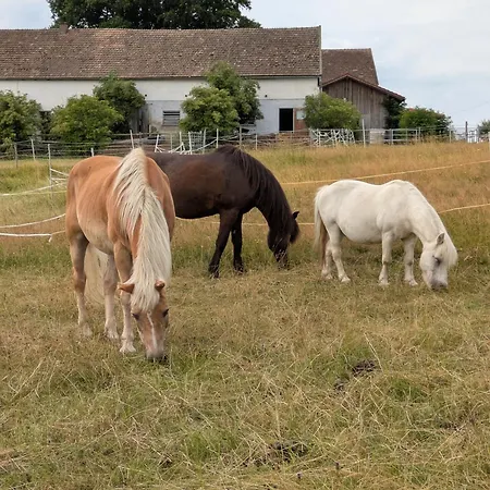 Ponyhof Adam Urlaub Auf Dem Bauernhof * Eschlkam