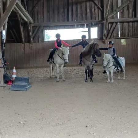 Ponyhof Adam Urlaub Auf Dem Bauernhof